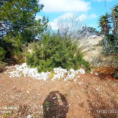 Βίλα Il Pigno Zona Maldive Del Salento Marina Di Pescoluse