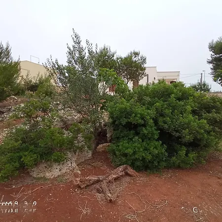 Il Pigno Zona Maldive Del Salento Villa *